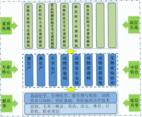 考证如何帮你建立教学框架？时间少怎么办？
